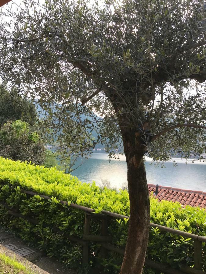 App. Monte Isola Vista Panoramica Villa Exterior photo